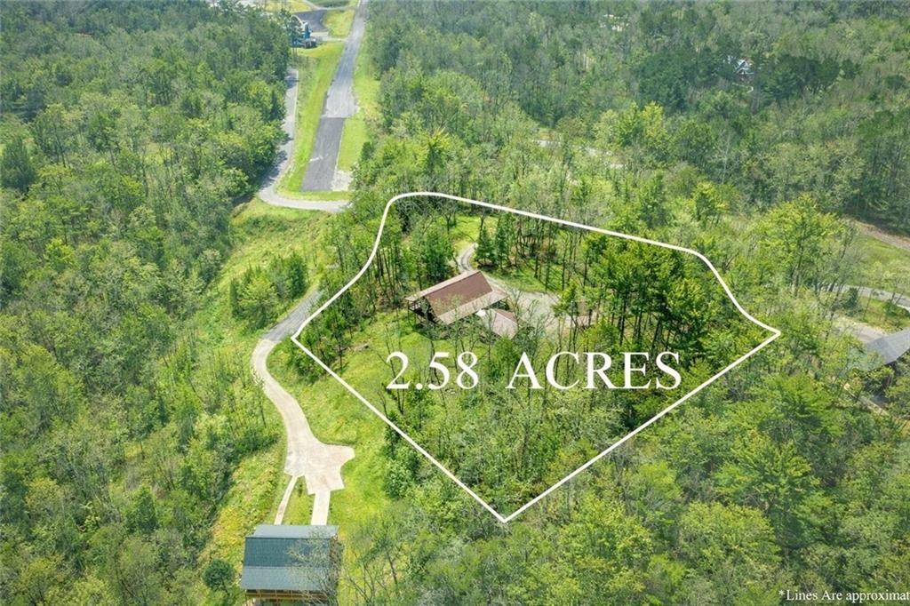 Red Bush School Rd, Blue Ridge, GA 30513 #1