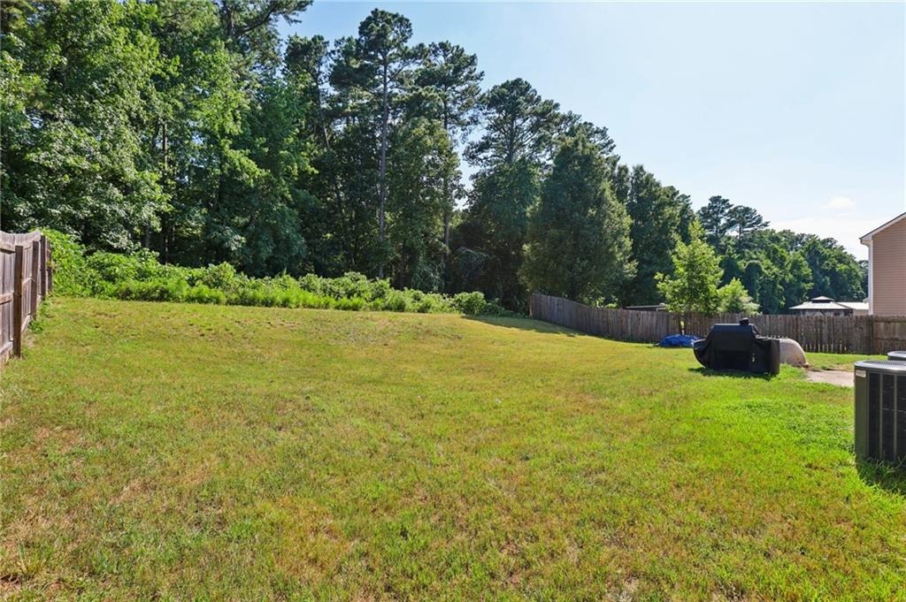 Crinklepoint Ct, Douglasville, GA 30134 #1
