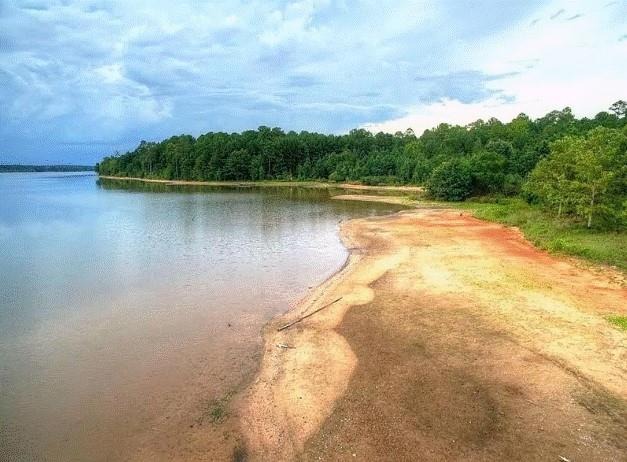 Eglington Trl, Locust Grove, GA 30248 #1