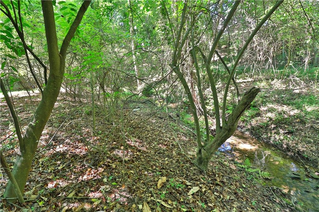 Fall View Ct, Winder, GA 30680 #1