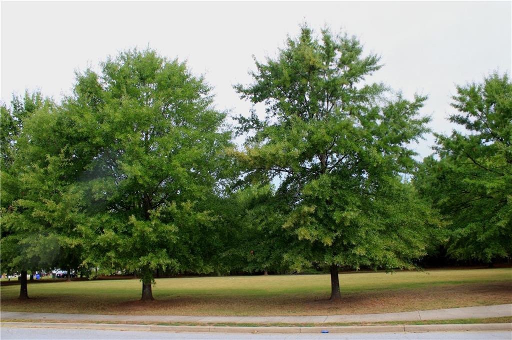 Avery St, Covington, GA 30014