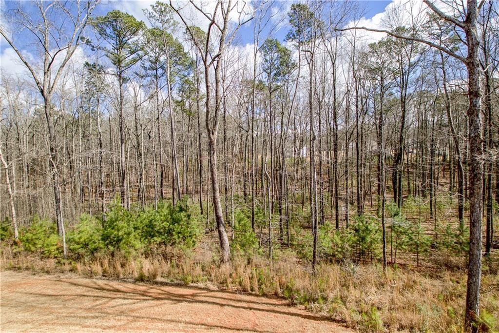 Emery Nell Ln, Newnan, GA 30263