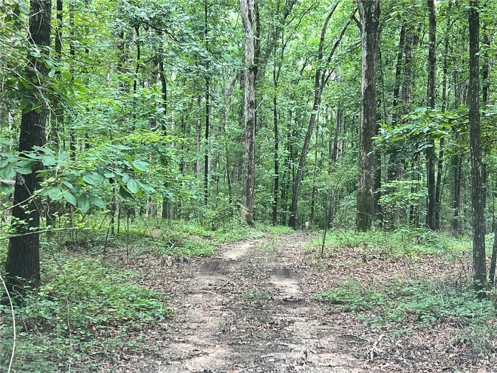 Sims Rd, Winder, GA 30680