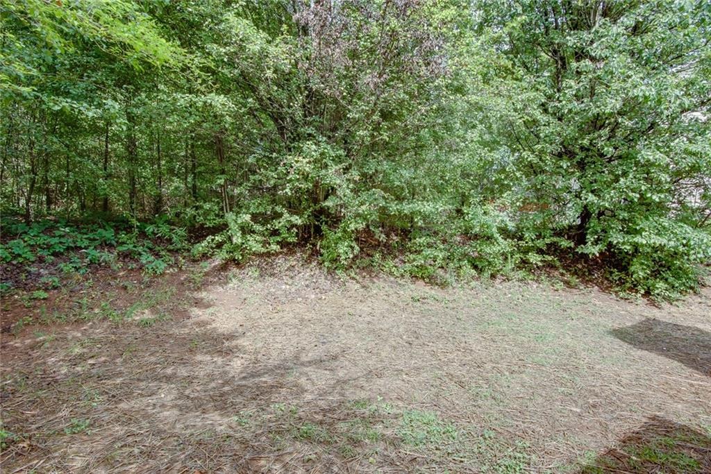 Winchester Way, Conyers, GA 30013 #1