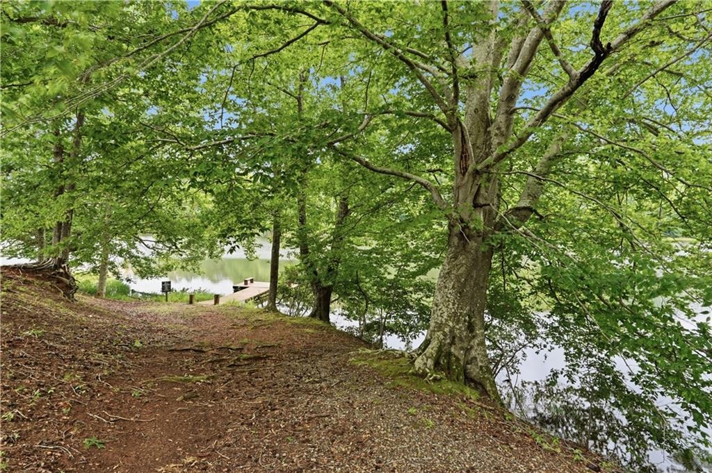 Ripple Creek Ct, Jasper, GA 30143 #1