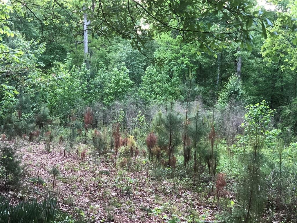 Old Salem Rd, Conyers, GA 30013