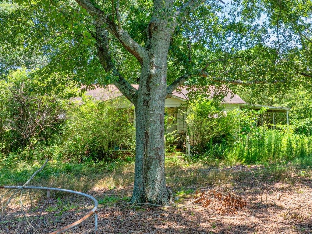 A D Farmer Rd, Good Hope, GA 30641 #1