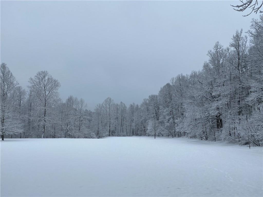 Big Sky Trl, Dahlonega, GA 30533 #1