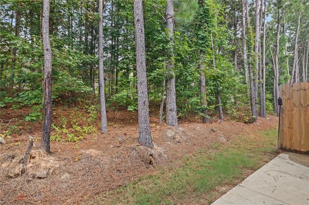 Sable Elm Ct, Atlanta, GA 30349 #1