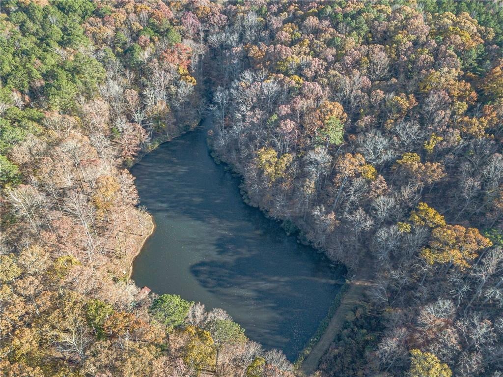 Newton Factory Bridge Rd, Covington, GA 30014 #1
