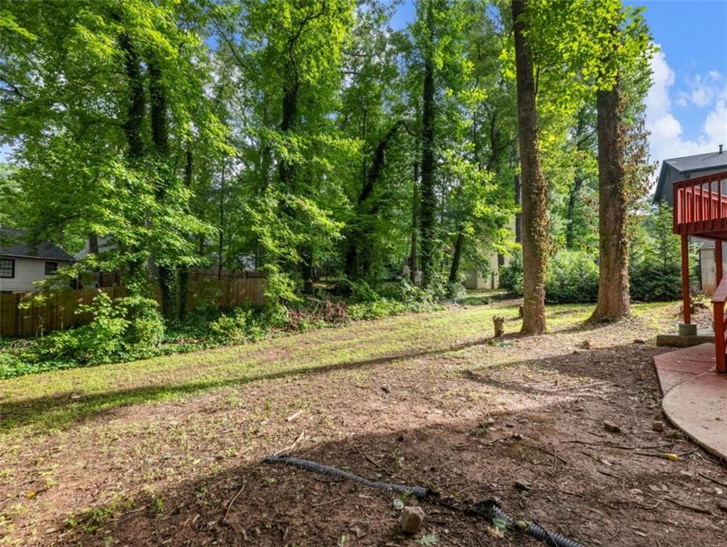 Willow Overlook , Stone Mountain, GA 30088 #1