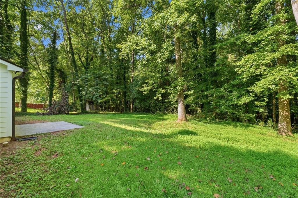 Terrace Green Trce, Stone Mountain, GA 30088 #1