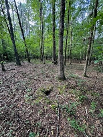 Mcbride Rd, Fayetteville, GA 30215