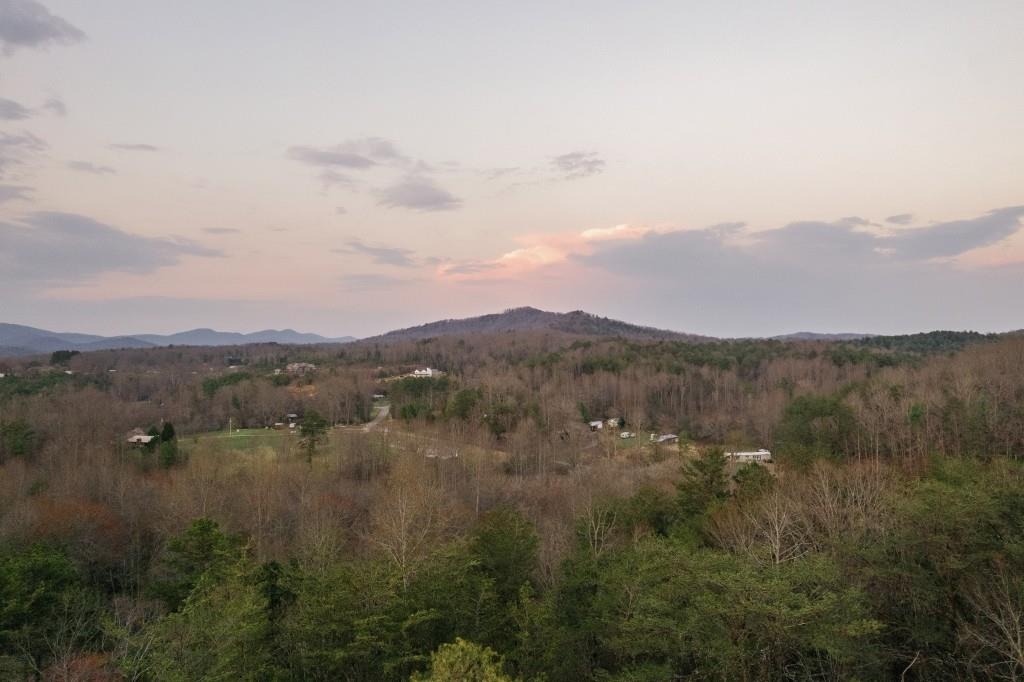 Huckleberry Ln, Mineral Bluff, GA 30559