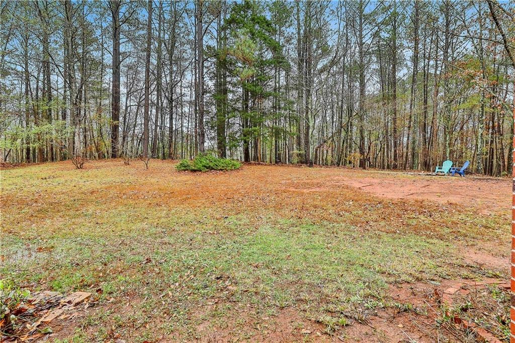 Buck Branch Rd, Conyers, GA 30094