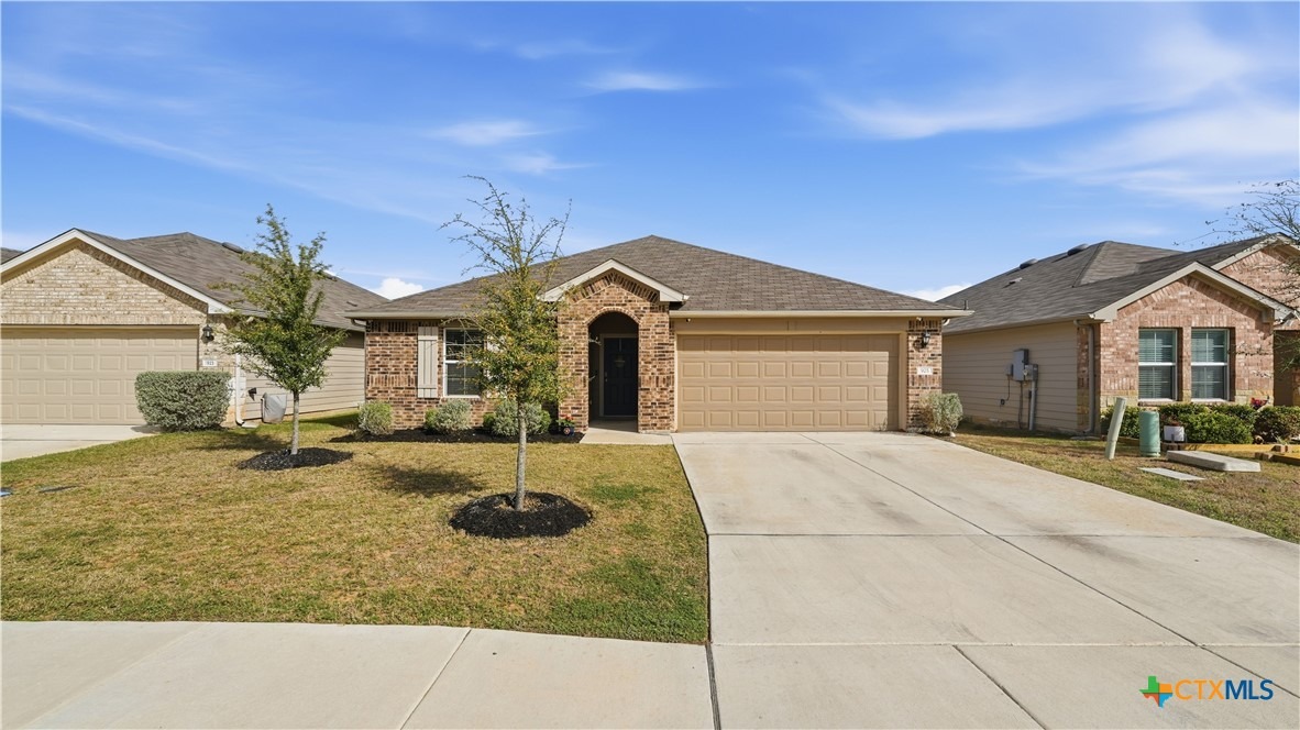 Nodding Nixie , Seguin, TX 78155