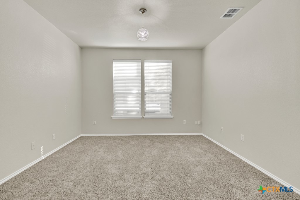 Sageleaf Willow Dr, San Marcos, TX 78666 #1