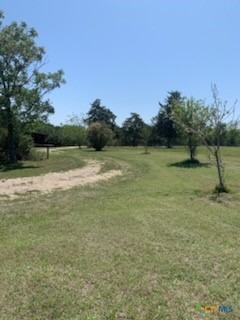 Mariana Dr, Red Rock, TX 78662 #1