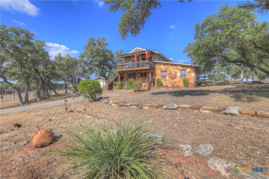 Cattail , Canyon Lake, TX 78133