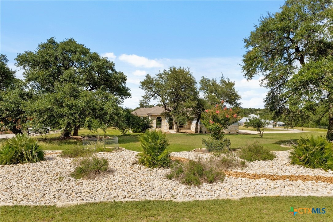 Filtro , New Braunfels, TX 78132