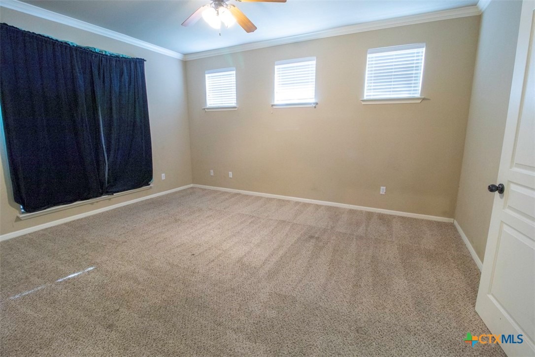 Valley Mist Dr, Temple, TX 76502 #1