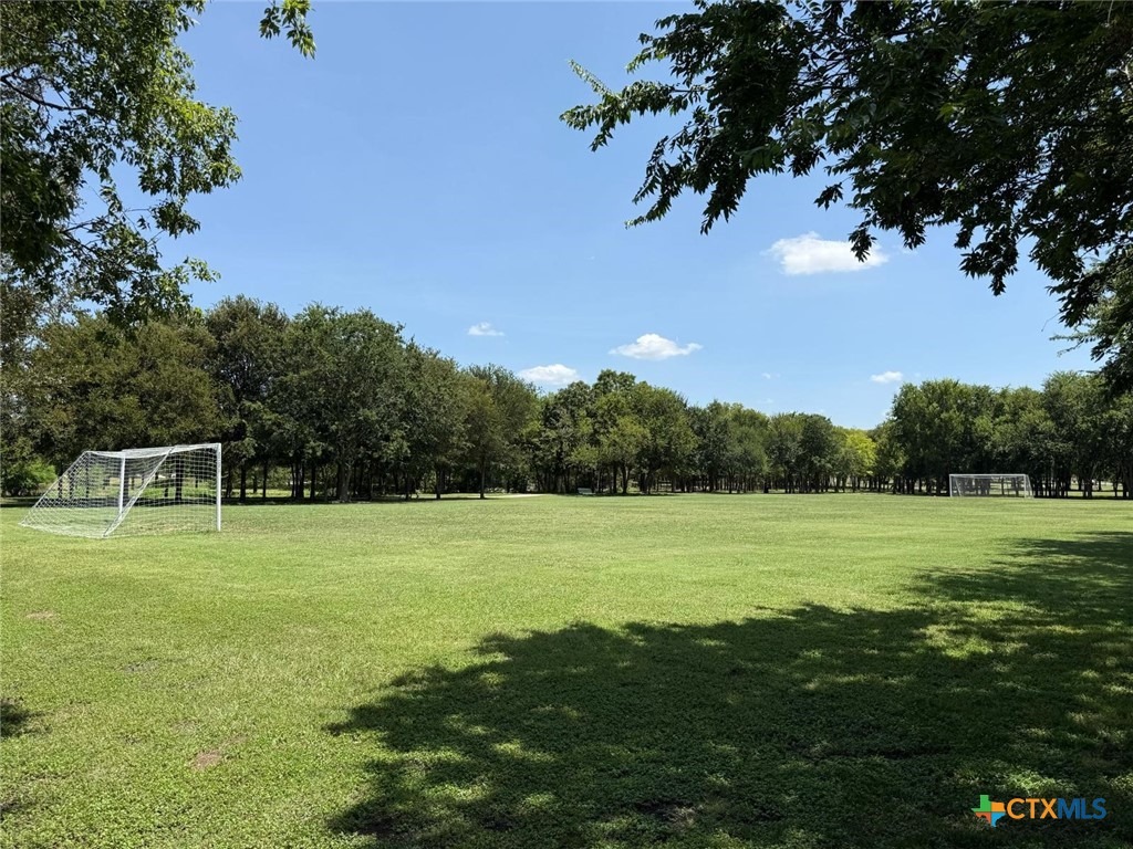 Lewis Carroll Ln, Pflugerville, TX 78660 #1