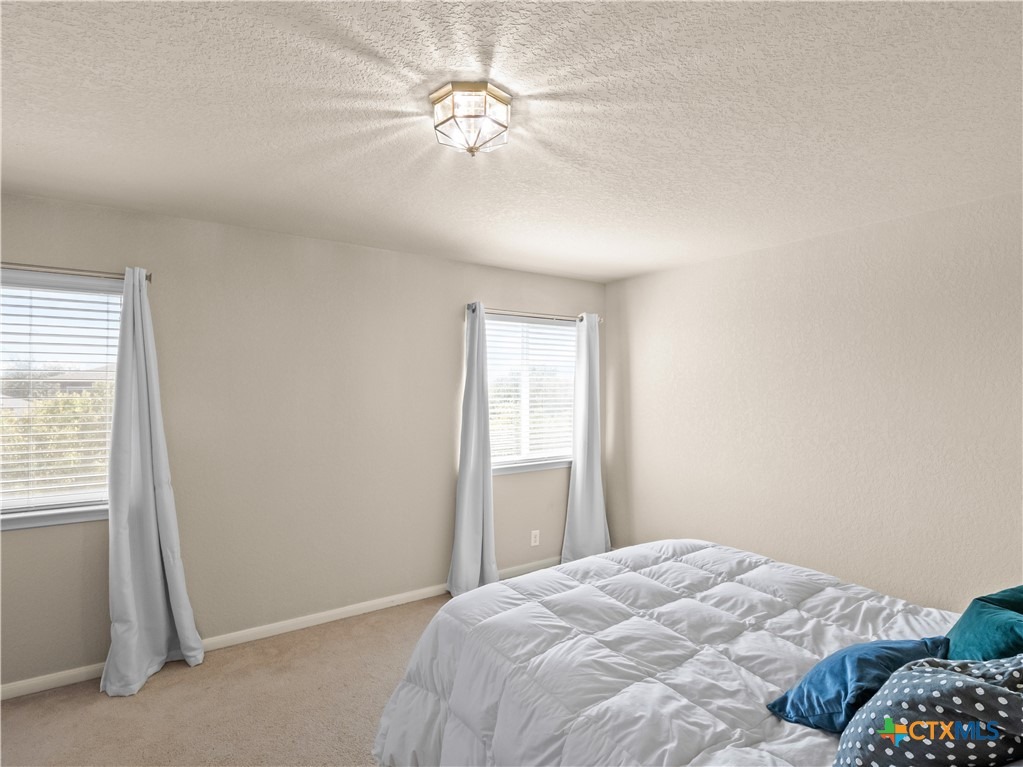 Wisteria Way, San Marcos, TX 78666 #1