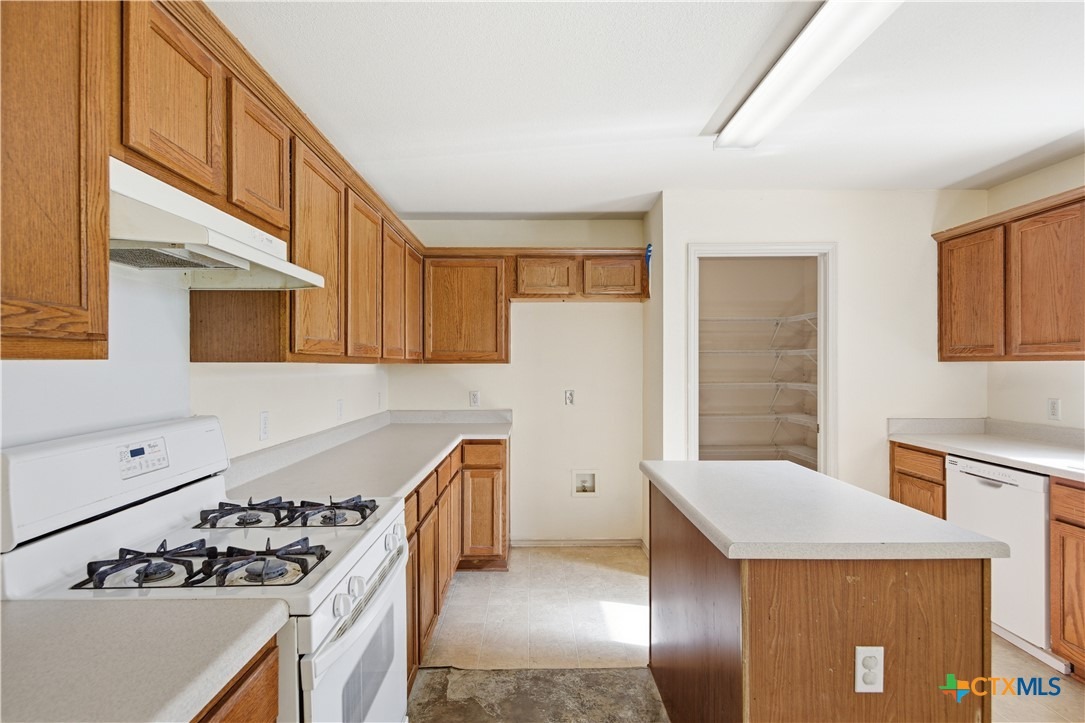 Nettie , Leander, TX 78641 #1