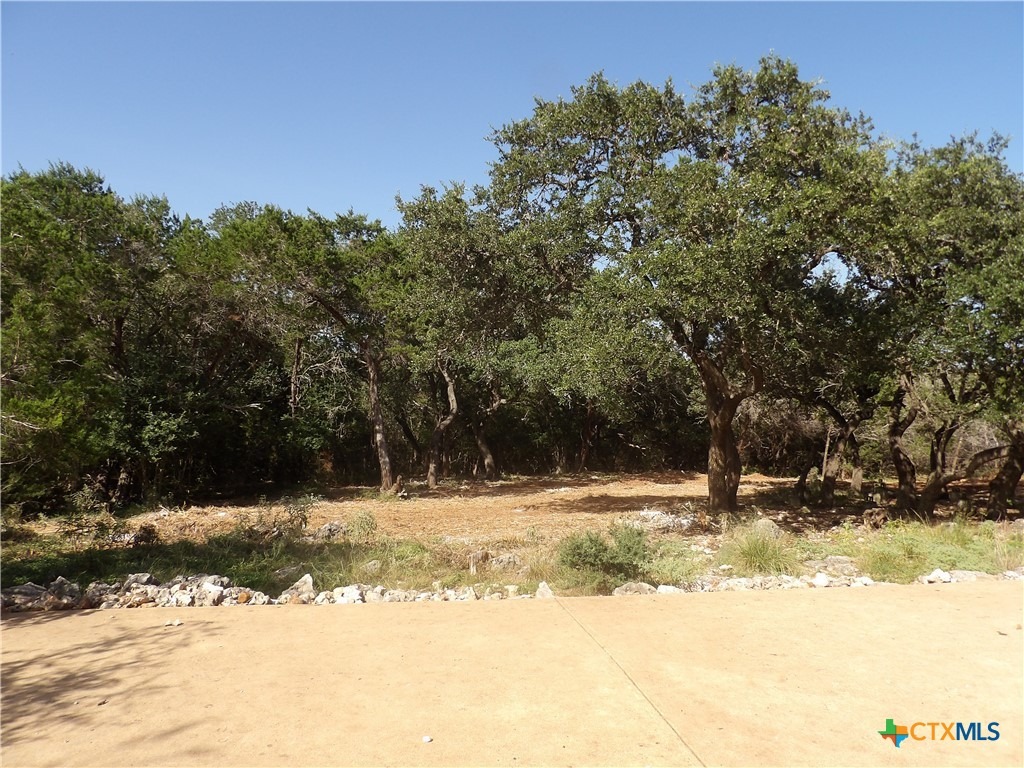 Falling Hls, New Braunfels, TX 78132 #1