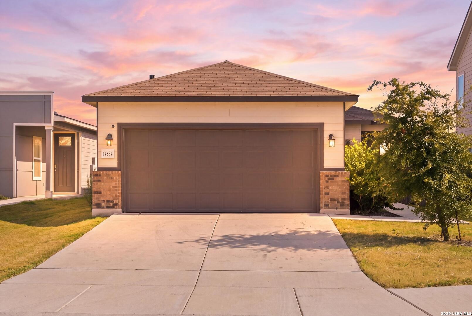 Prairie Clover , San Antonio, TX 78253