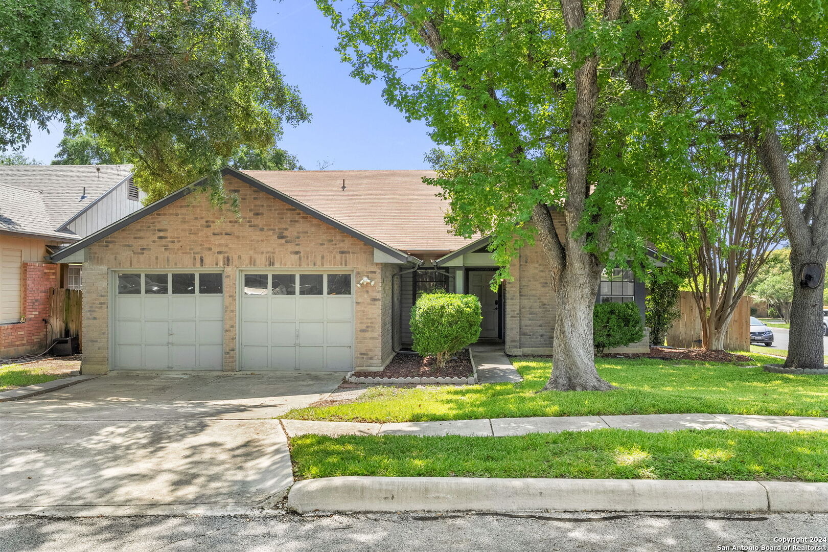 Forest Ash , Live Oak, TX 78233 #1