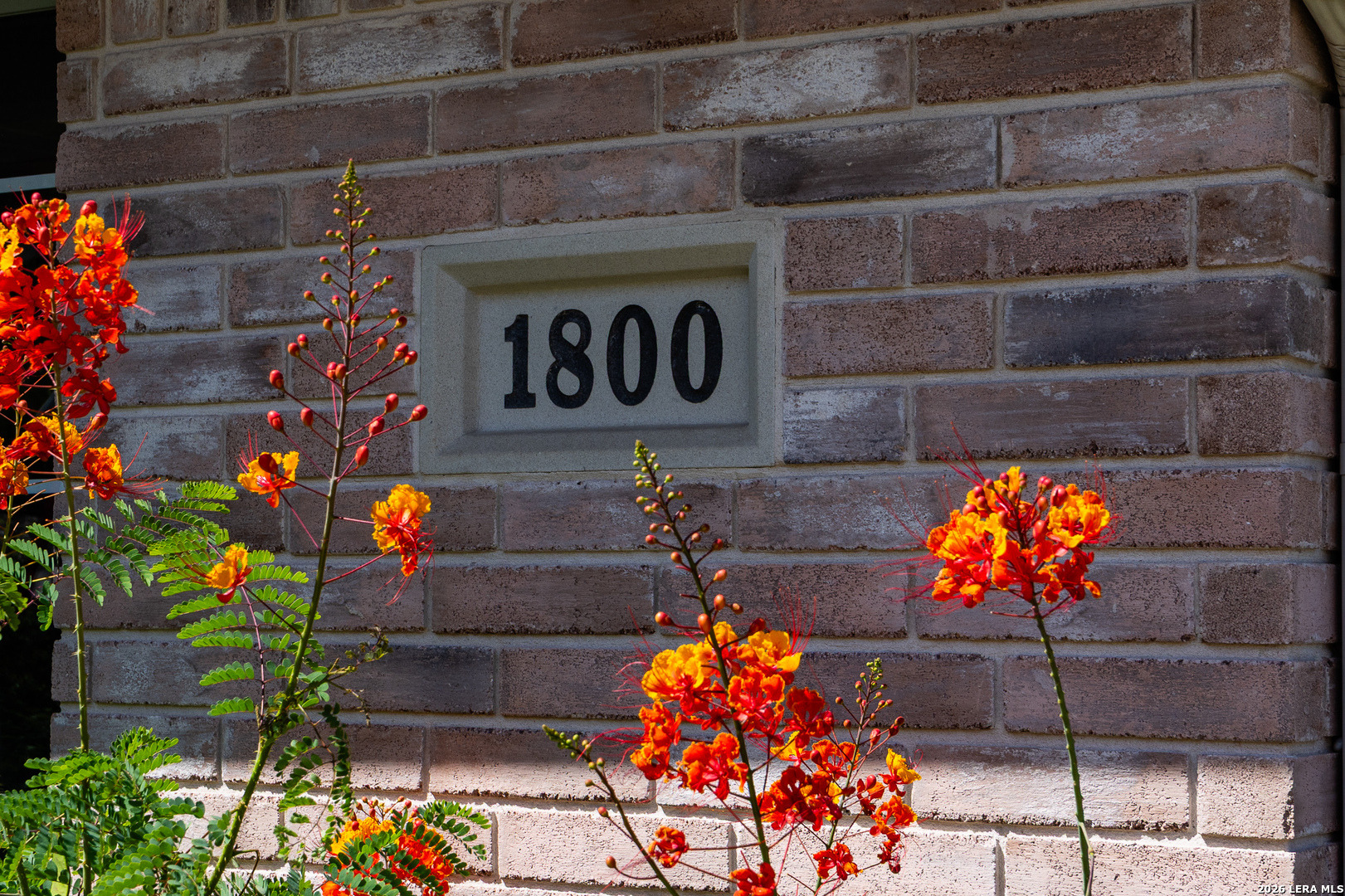 Foothills Dr, Kerrville, TX 78028 #1