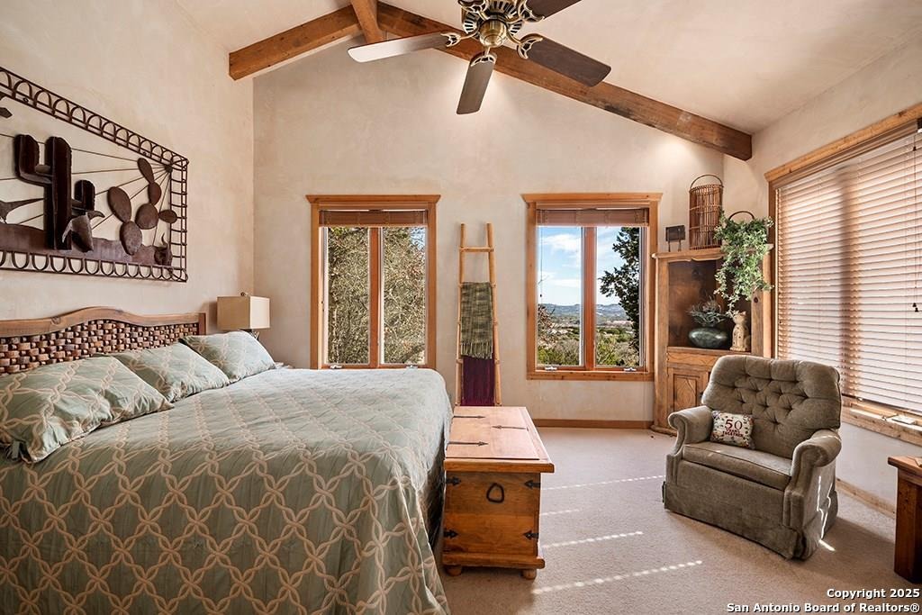 Chinaberry Ln, Fredericksburg, TX 78624