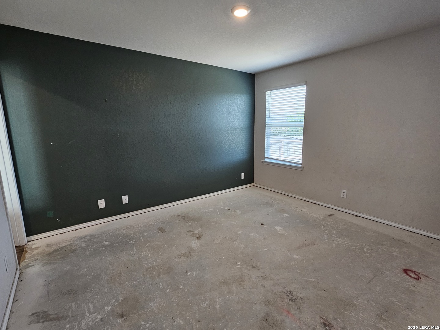 Brown Violetear , San Antonio, TX 78253 #1