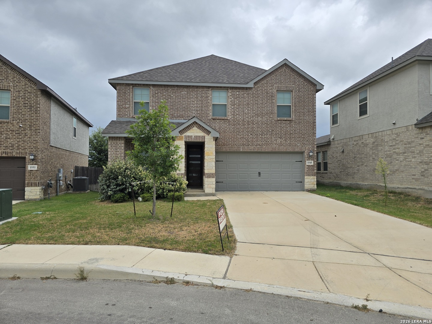 Arcadian Lily , San Antonio, TX 78245
