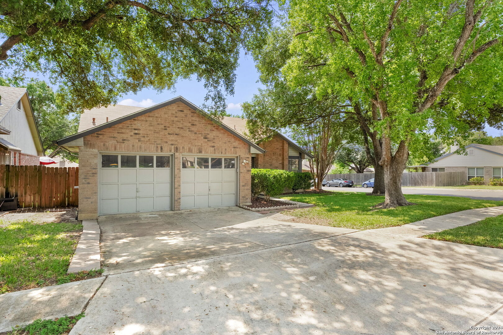 Forest Ash , Live Oak, TX 78233