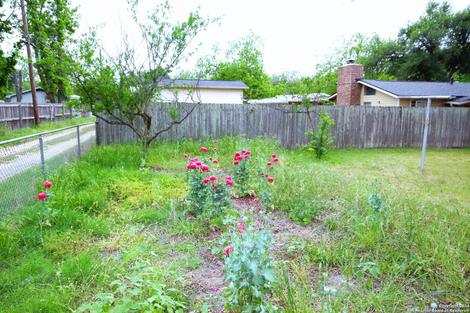 Edison St, Fredericksburg, TX 78624