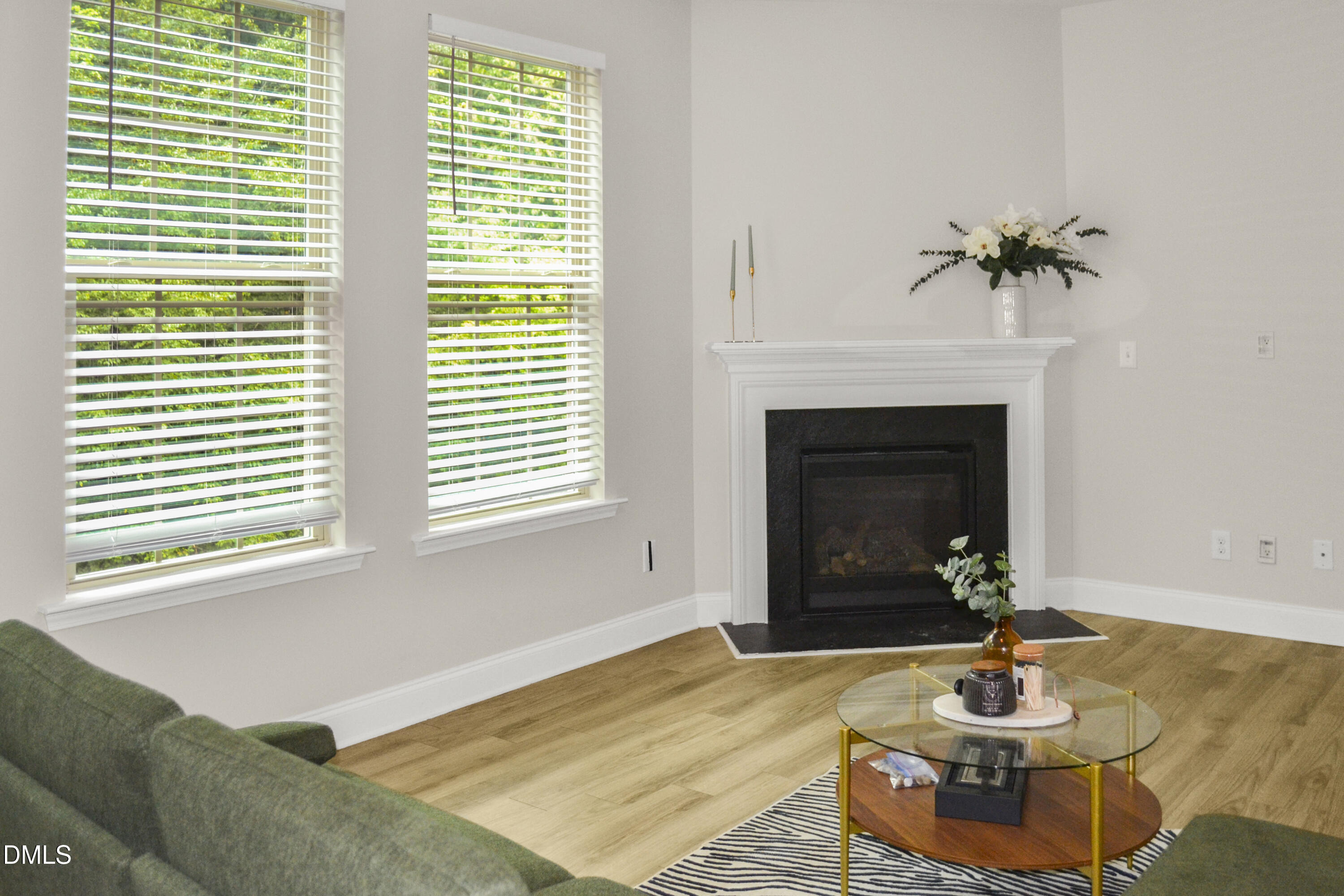 Hemlock Green Ln, Clayton, NC 27527 #1