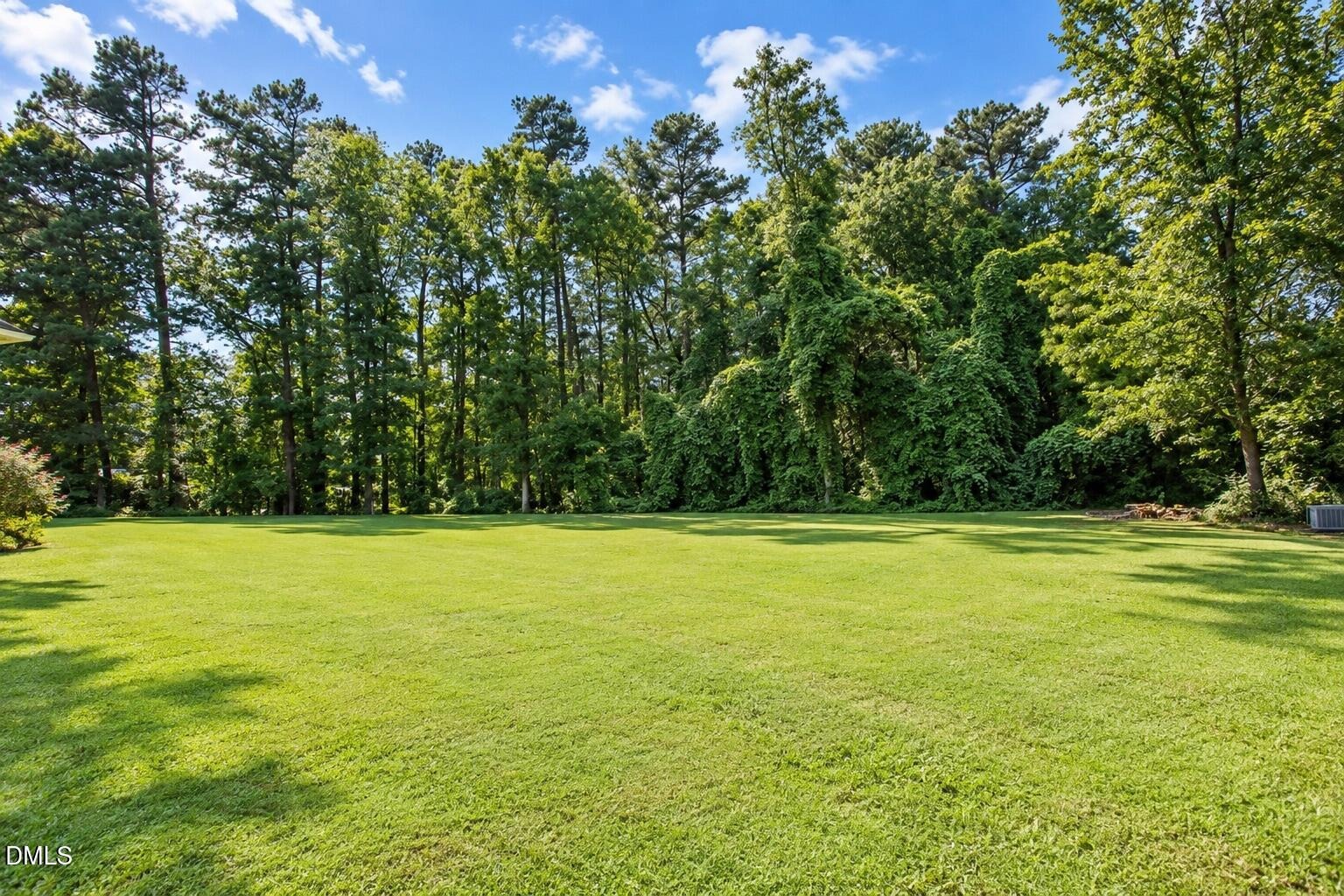 Hoyle Ln, Henderson, NC 27537 #1