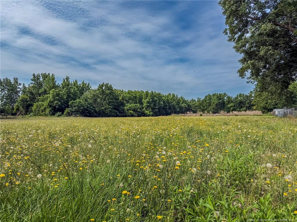 Newton Rd, Red Springs, NC 28377 #1