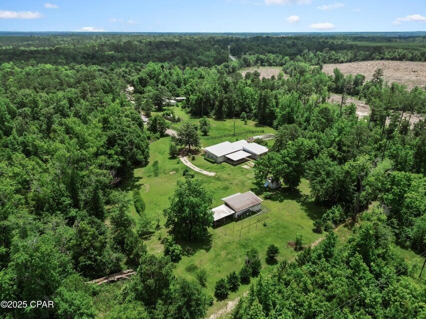 Devane Rd, Chattahoochee, FL 32324 #1