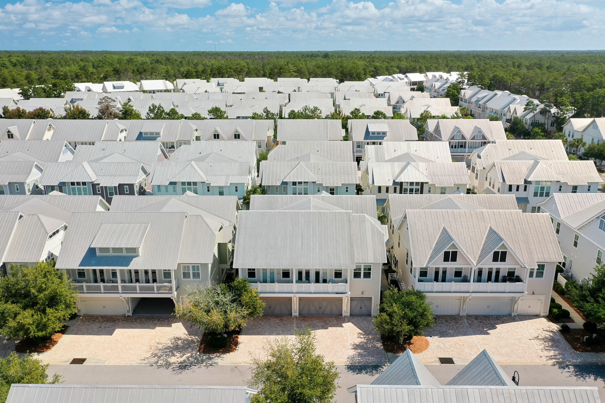 Milestone Dr, Inlet Beach, FL 32461 #1