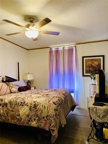 County Road 1288 , Morgan, TX 76671 #1