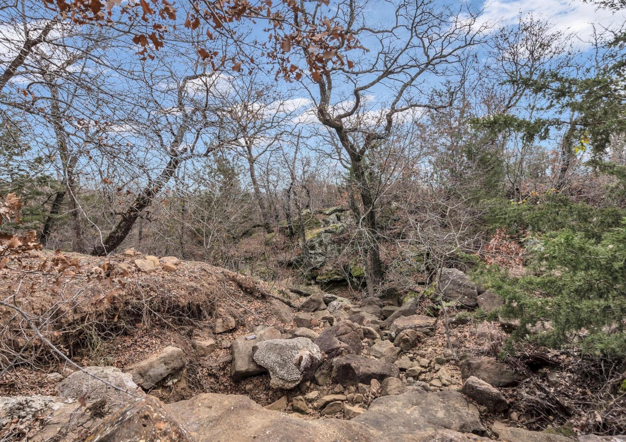 Silver Ridge Ct, Bowie, TX 76230