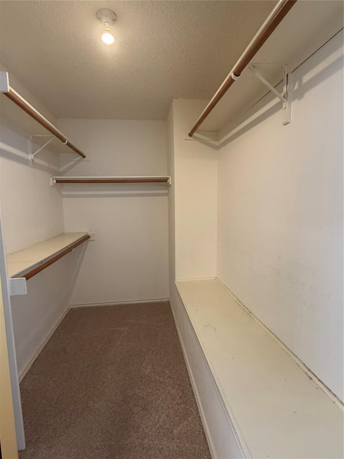Collin Dr, Allen, TX 75002 #1