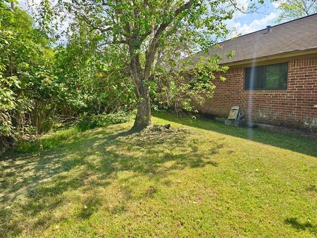 Tall Timber Dr, West Columbia, TX 77486 #1