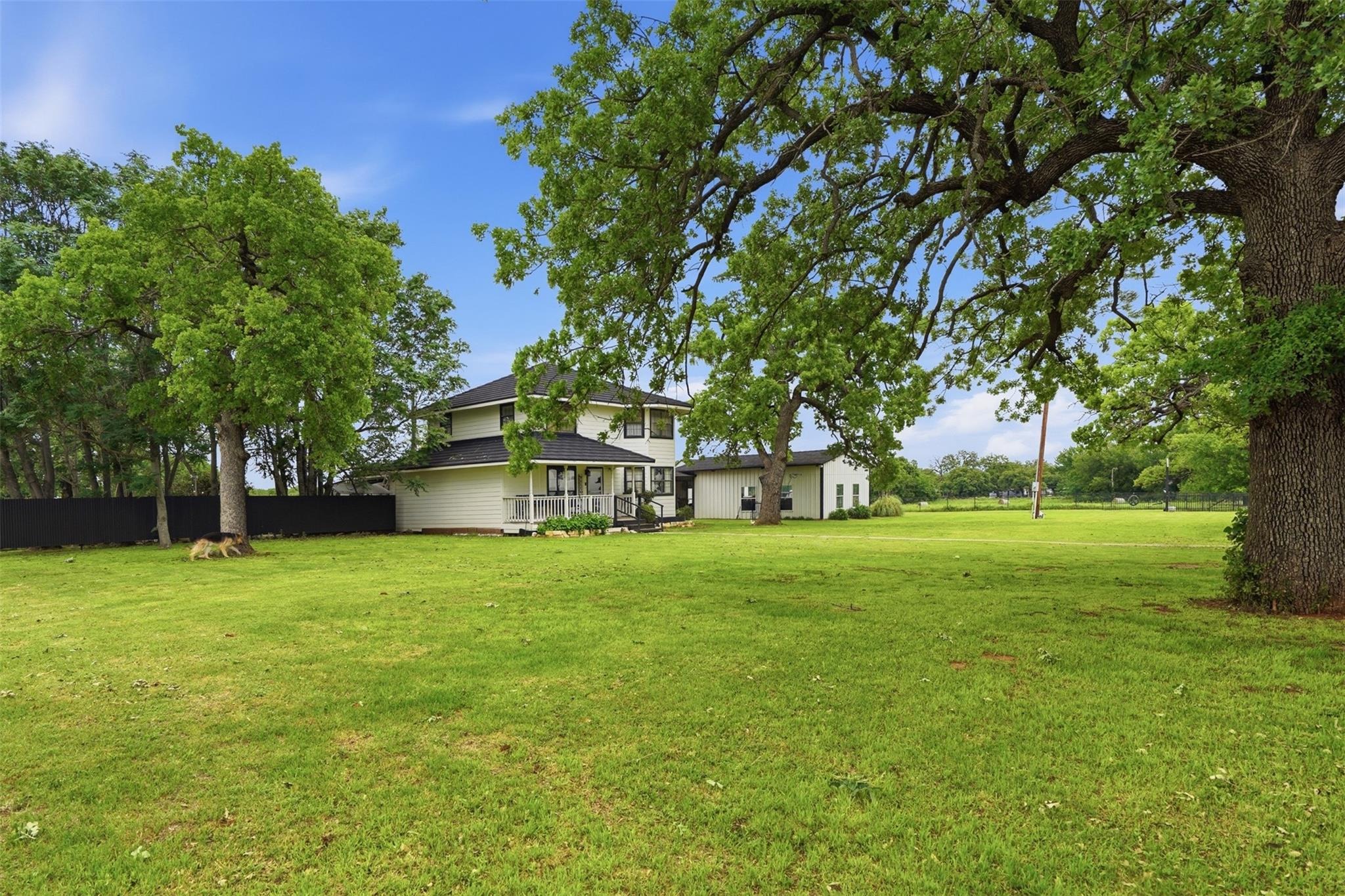 Sunflower , Paradise, TX 76073 #1