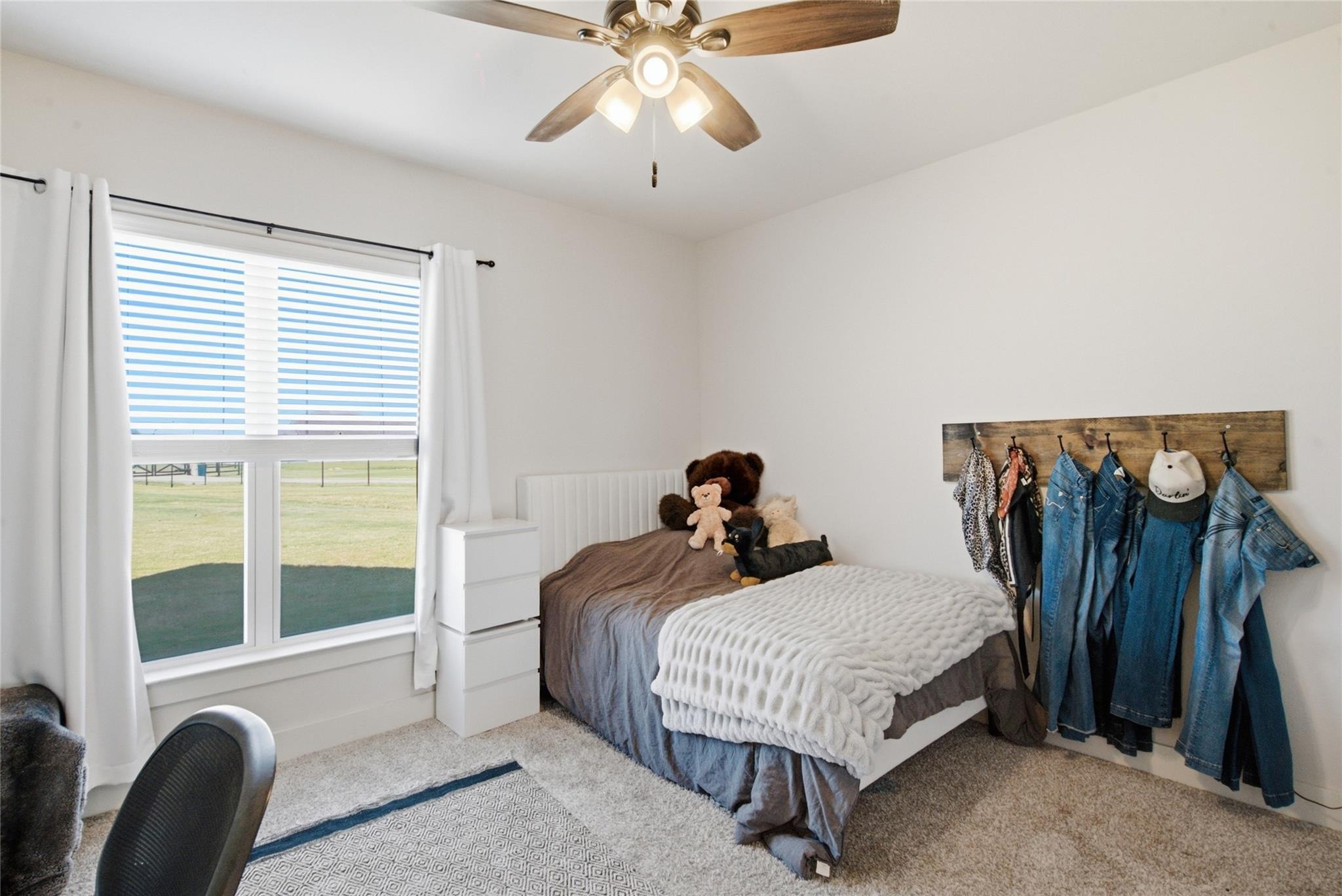 Monarch Ct, Poolville, TX 76487 #1