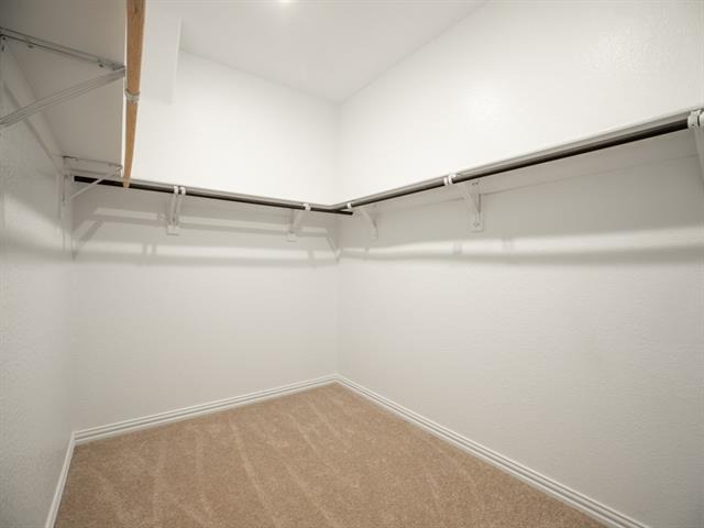 Ansley Way, Allen, TX 75013 #1