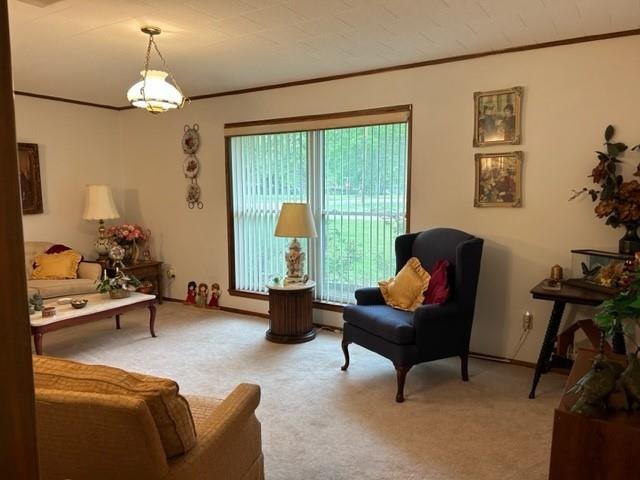 Crockett St, DE Kalb, TX 75559 #1